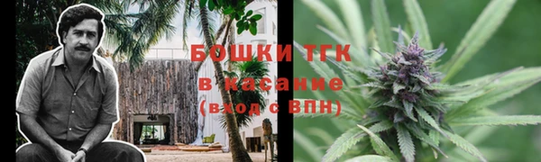 эйфоретик Вяземский