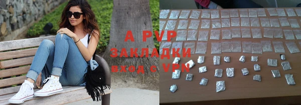 эйфоретик Вяземский