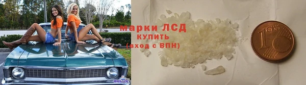 эйфоретик Вяземский