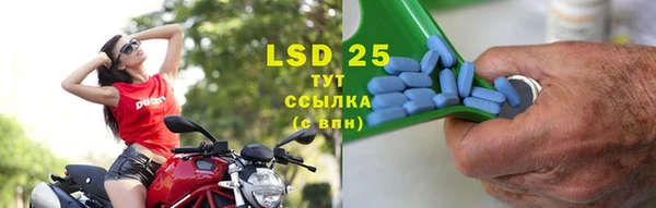 эйфоретик Вяземский