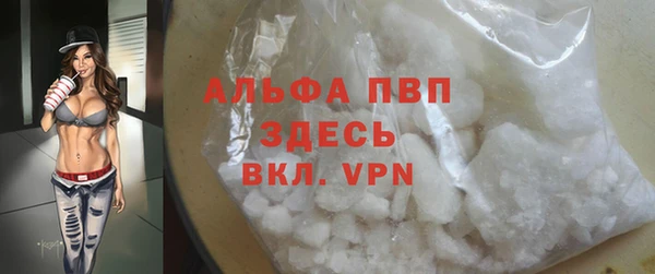 эйфоретик Вяземский