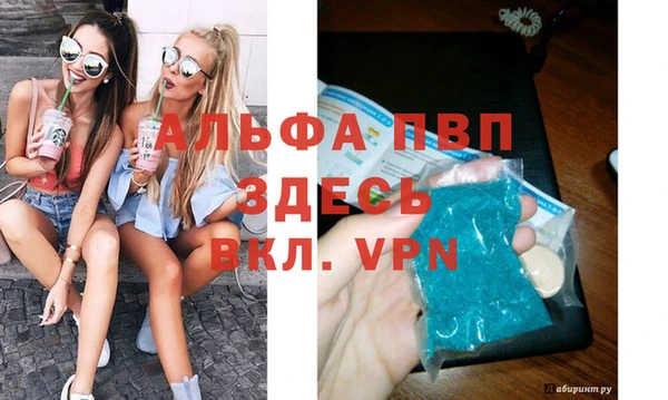 эйфоретик Вяземский