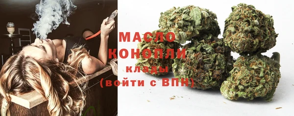 эйфоретик Вяземский