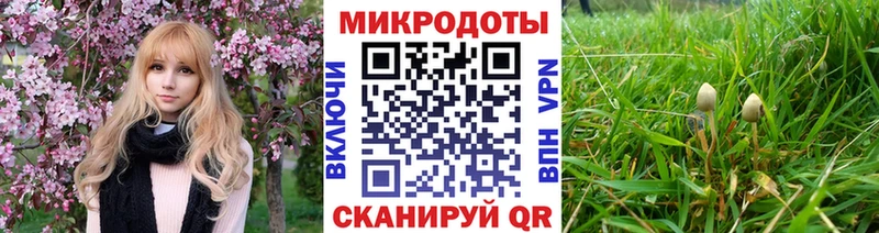 Купить закладки  Лермонтов  Галлюциногенные грибы MAGIC MUSHROOMS 